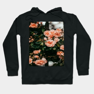 Pink cluster petaled flower Hoodie